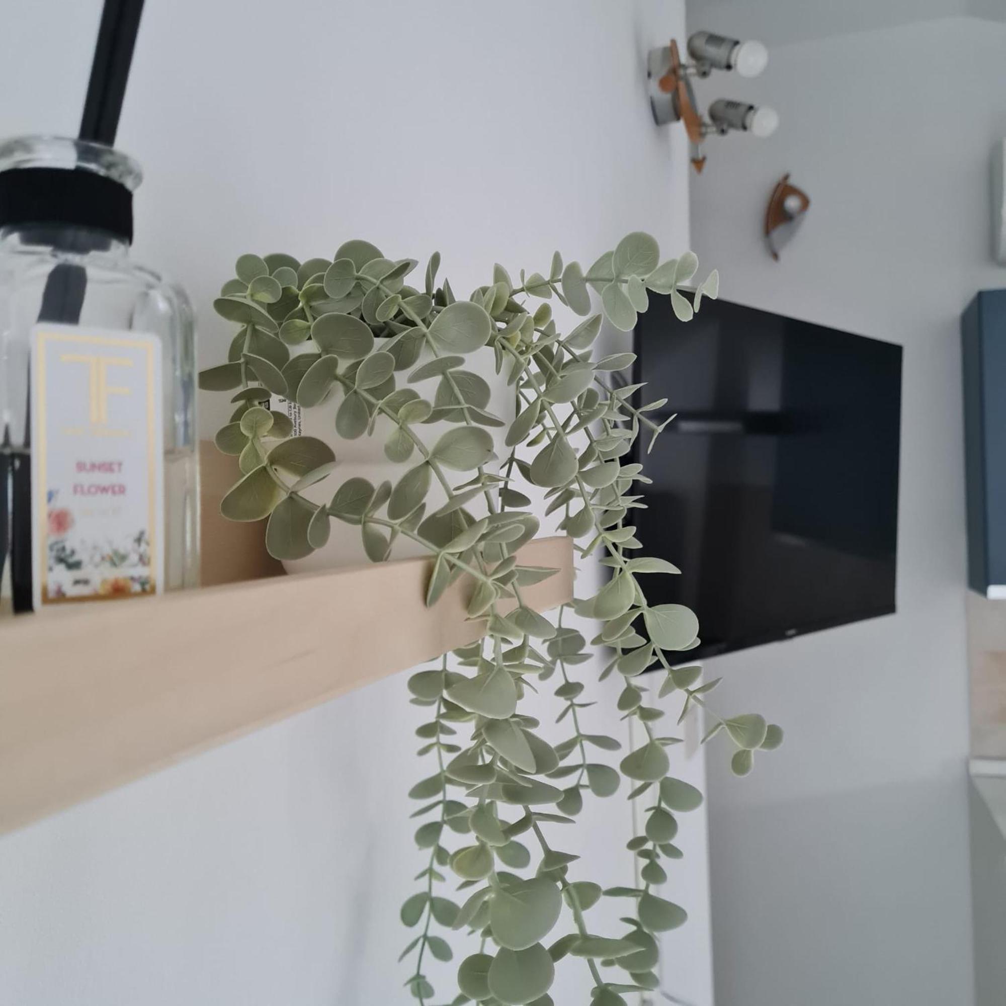 新乔瓦尼提蒂诺Gate 25公寓 外观 照片